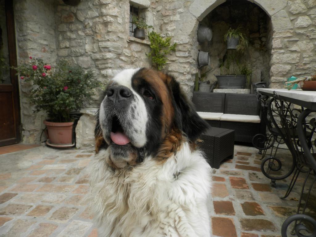 Hotel Residenza Di Paese Castello Del Poggio à Ferentillo Extérieur photo